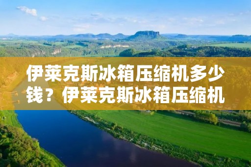 伊莱克斯冰箱压缩机多少钱?伊莱克斯冰箱压缩机价格解析 伊莱克斯冰箱压缩机多少钱?伊莱克斯冰箱压缩机价格解析