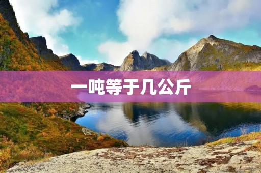 一吨等于几公斤