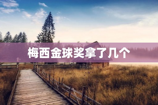 梅西金球奖拿了几个