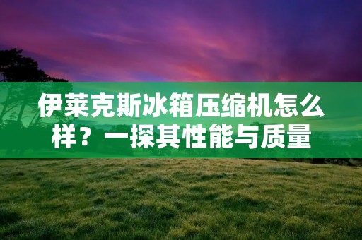 伊莱克斯冰箱压缩机怎么样？一探其性能与质量