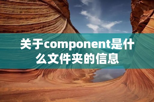 关于component是什么文件夹的信息
