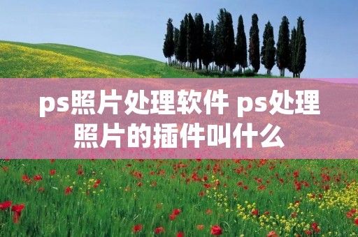 ps照片处理软件 ps处理照片的插件叫什么 ps照片处理软件 ps处理照片的插件叫什么