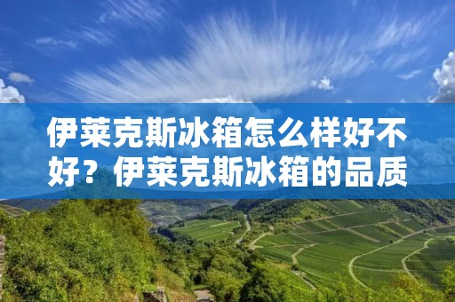 伊莱克斯冰箱怎么样好不好？伊莱克斯冰箱的品质如何？