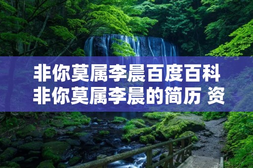 非你莫属李晨百度百科 非你莫属李晨的简历 资料个人