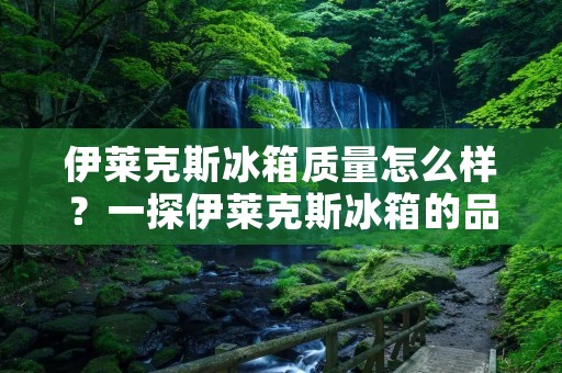 伊莱克斯冰箱质量怎么样？一探伊莱克斯冰箱的品质与性能