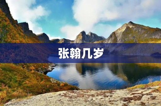 张翰几岁
