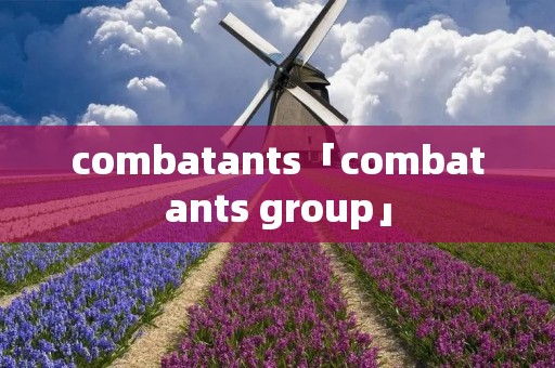 combatants「combatants group」