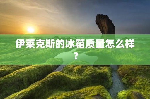 伊莱克斯的冰箱质量怎么样？