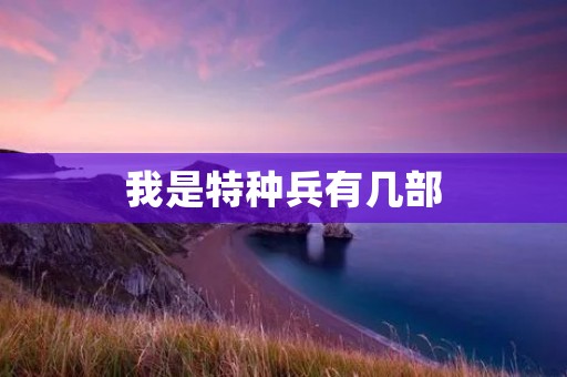 我是特种兵有几部