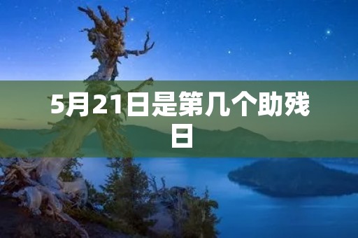 5月21日是第几个助残日