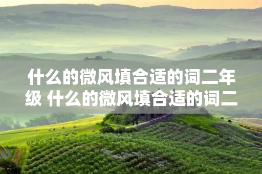 什么的微风填合适的词二年级 什么的微风填合适的词二年级什么的天空 什么的微风填合适的词二年级 什么的微风填合适的词二年级什么的天空