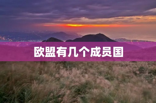 欧盟有几个成员国