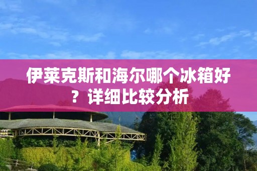 伊莱克斯和海尔哪个冰箱好？详细比较分析