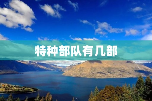 特种部队有几部
