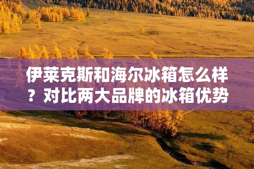 伊莱克斯和海尔冰箱怎么样？对比两大品牌的冰箱优势与劣势！