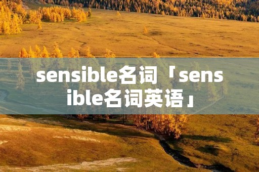 sensible名词「sensible名词英语」