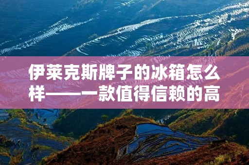 伊莱克斯牌子的冰箱怎么样——一款值得信赖的高品质冷藏解决方案