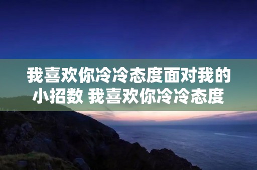 我喜欢你冷冷态度面对我的小招数 我喜欢你冷冷态度是哪首歌的歌词