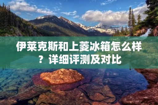 伊莱克斯和上菱冰箱怎么样？详细评测及对比