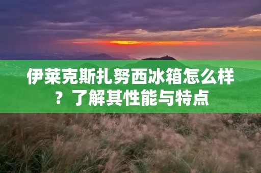 伊莱克斯扎努西冰箱怎么样？了解其性能与特点