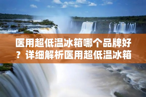 医用超低温冰箱哪个品牌好?详细解析医用超低温冰箱的品牌选择 医用超低温冰箱哪个品牌好?详细解析医用超低温冰箱的品牌选择