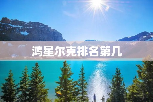 鸿星尔克排名第几