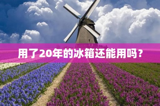 用了20年的冰箱还能用吗？