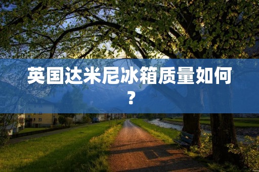 英国达米尼冰箱质量如何？