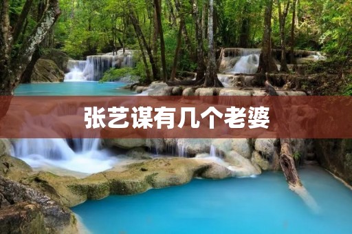 张艺谋有几个老婆