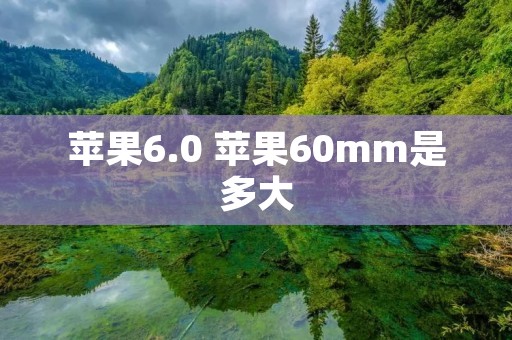 苹果6.0 苹果60mm是多大