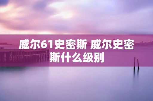 威尔61史密斯 威尔史密斯什么级别