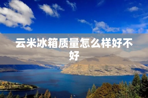 云米冰箱质量怎么样好不好：深度评测与用户反馈