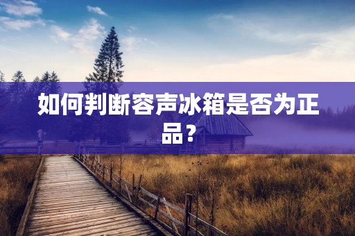 如何判断容声冰箱是否为正品？