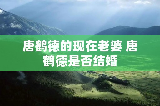 唐鹤德的现在老婆 唐鹤德是否结婚