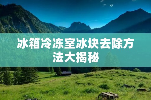 冰箱冷冻室冰块去除方法大揭秘