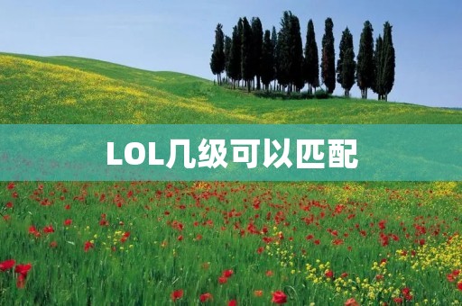 LOL几级可以匹配