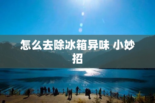 怎么去除冰箱异味 小妙招 怎么去除冰箱异味 小妙招