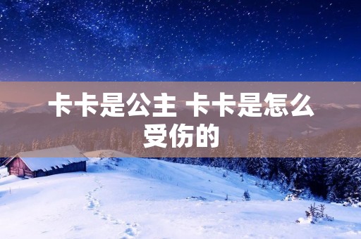 卡卡是公主 卡卡是怎么受伤的 卡卡是公主 卡卡是怎么受伤的