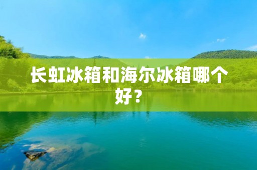 长虹冰箱和海尔冰箱哪个好？