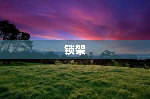 锁架:为您的自行车提供安全稳定的支撑 锁架:为您的自行车提供安全稳定的支撑