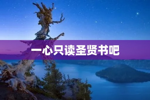 一心只读圣贤书吧:开启智慧之门,探寻人生真谛 一心只读圣贤书吧:开启智慧之门,探寻人生真谛