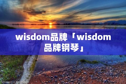 wisdom品牌「wisdom品牌钢琴」