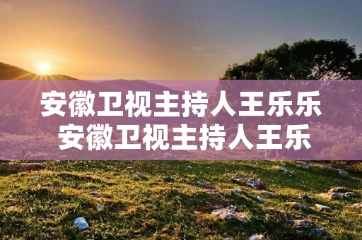 安徽卫视主持人王乐乐 安徽卫视主持人王乐乐个人资料