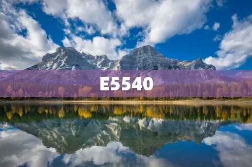 E5540:性能卓越的多功能服务器处理器 E5540:性能卓越的多功能服务器处理器