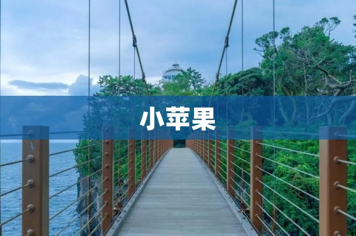 小苹果:一颗席卷全球的音乐热潮 小苹果:一颗席卷全球的音乐热潮