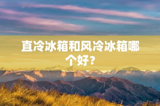 直冷冰箱和风冷冰箱哪个好? 直冷冰箱和风冷冰箱哪个好?