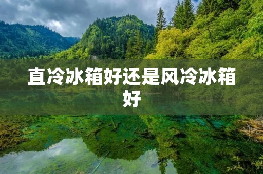 直冷冰箱好还是风冷冰箱好:全面对比与分析