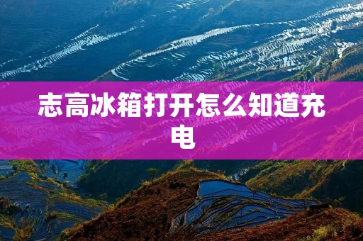 志高冰箱打开怎么知道充电：详细解析