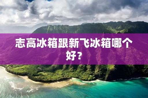 志高冰箱跟新飞冰箱哪个好？