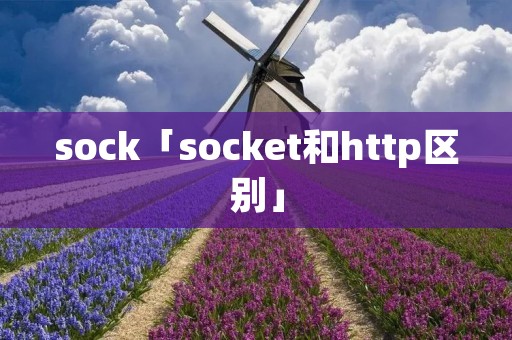 sock「socket和http区别」